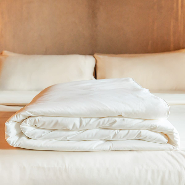 Comfortable Bed Comforters for Relaxing Guest Sleep